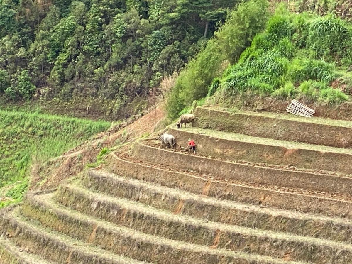 Mu Cang Chai Homestay & Trekking Exterior photo