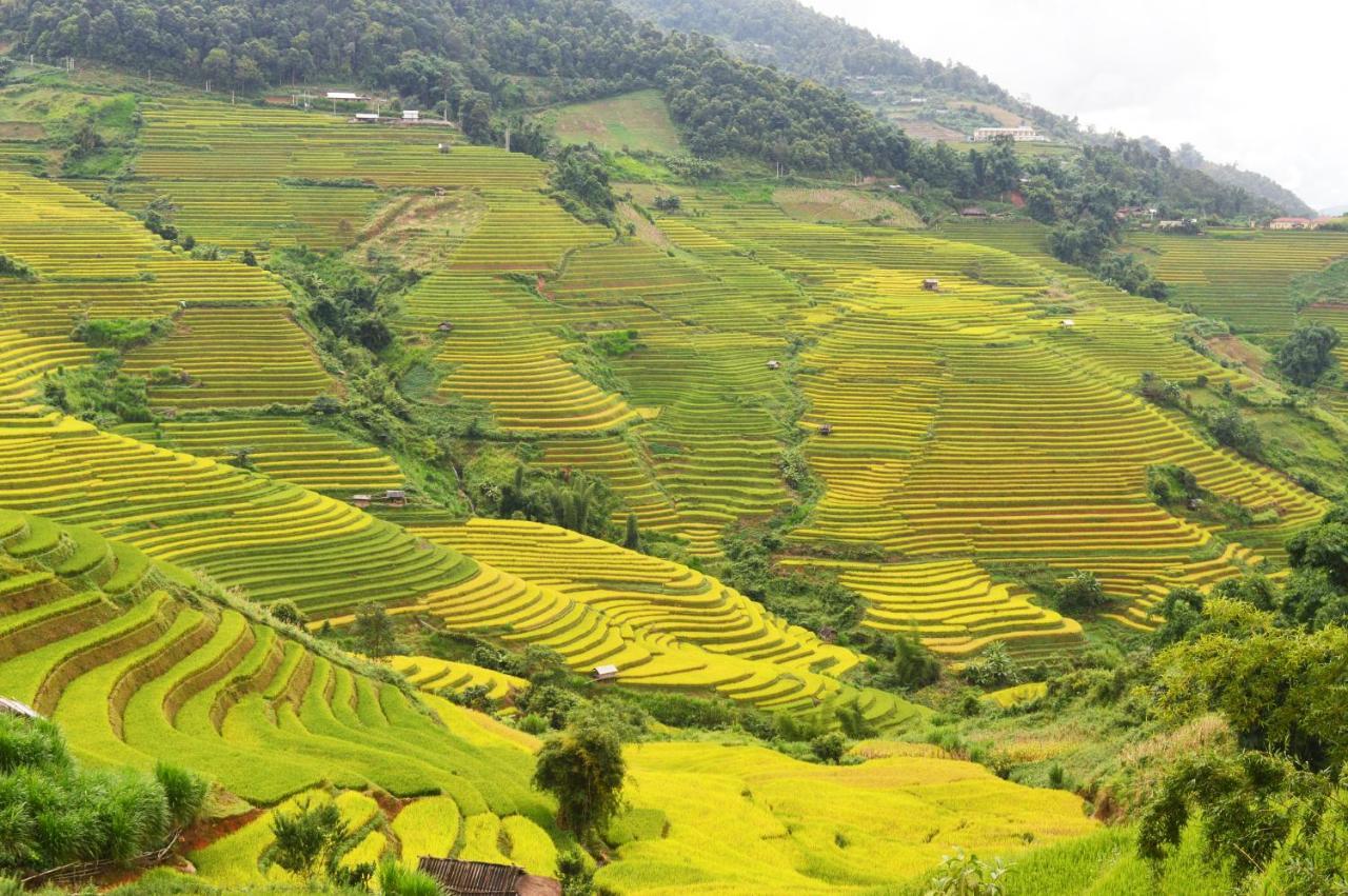 Mu Cang Chai Homestay & Trekking Exterior photo