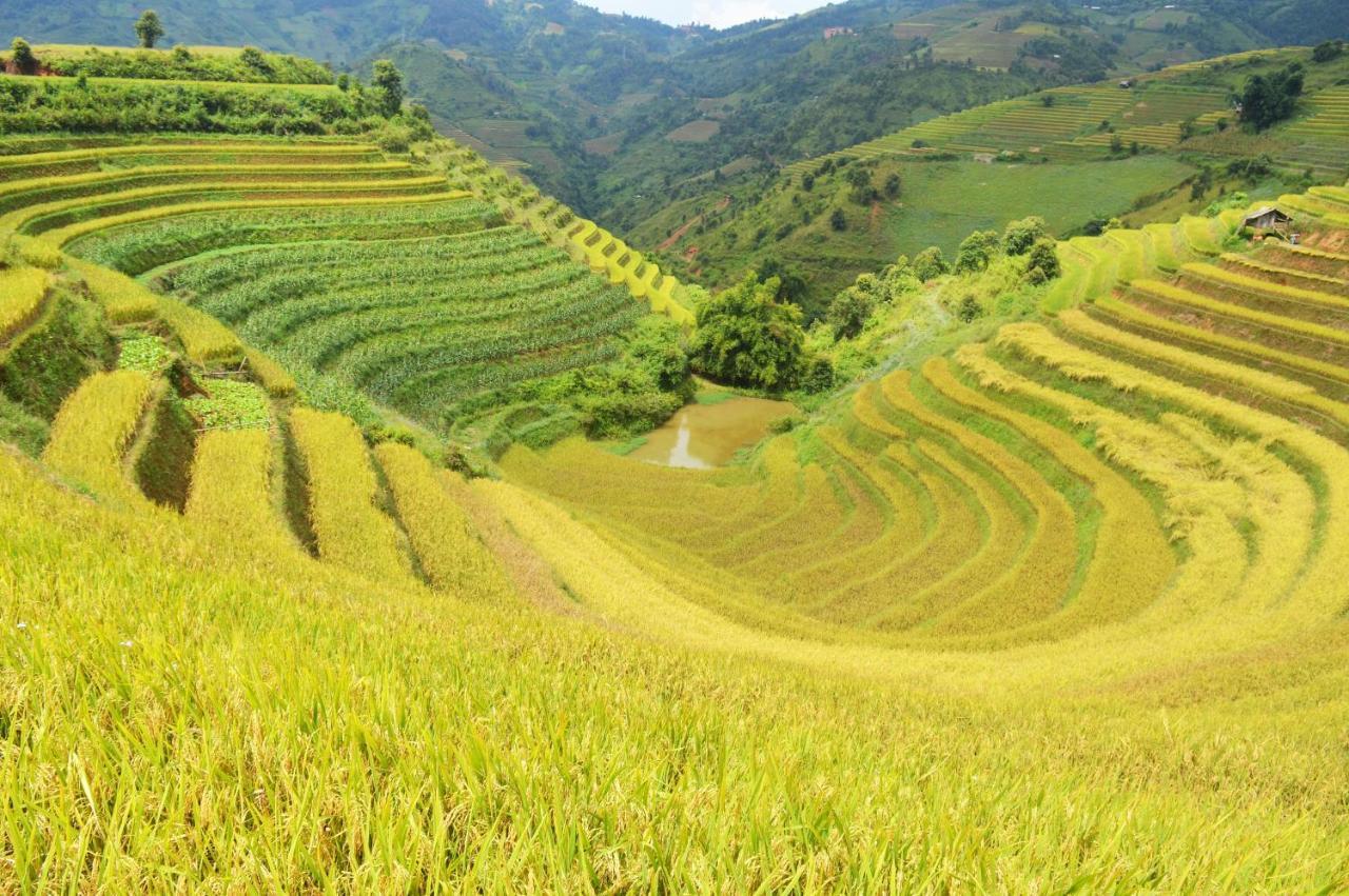 Mu Cang Chai Homestay & Trekking Exterior photo