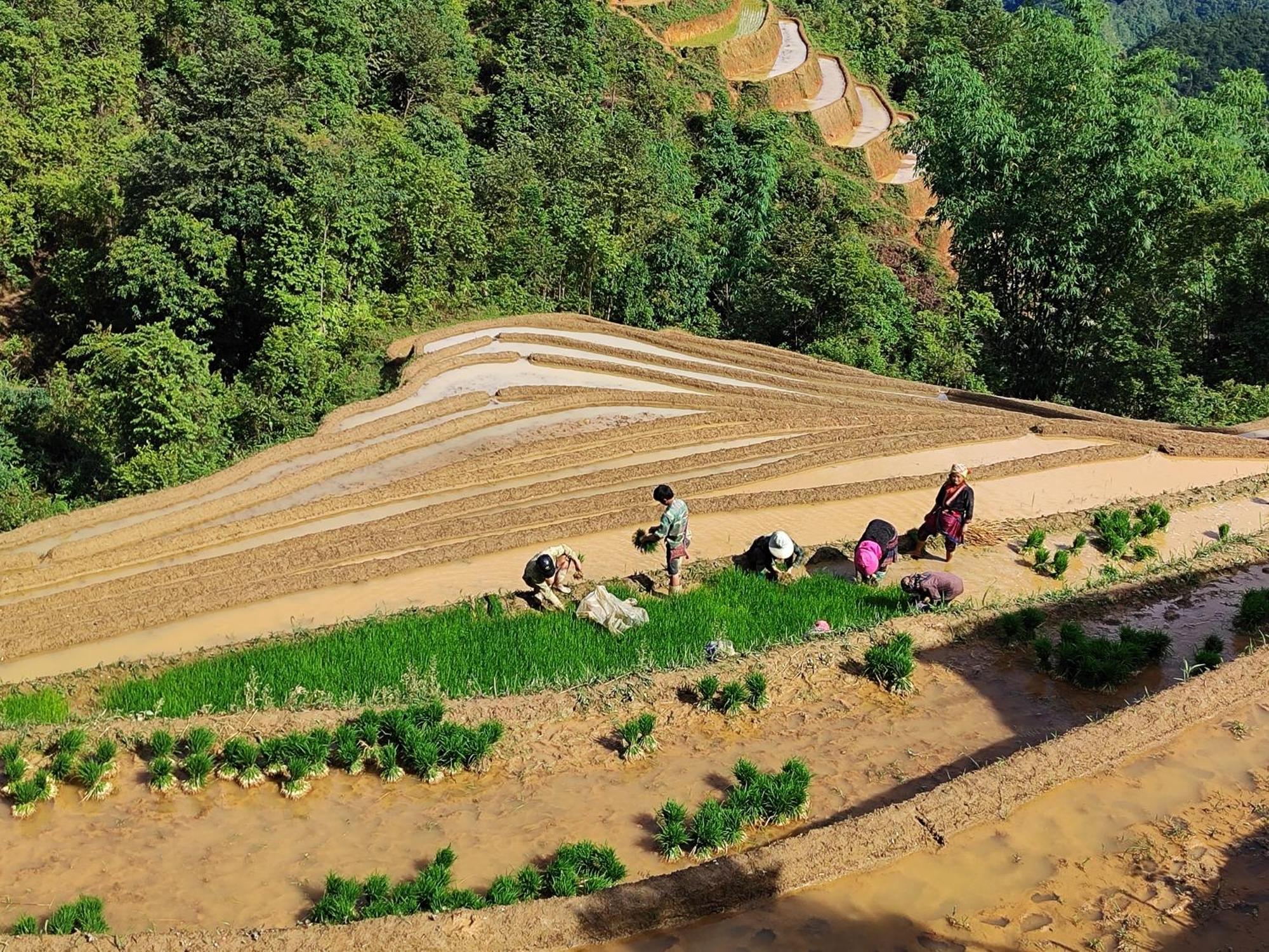 Mu Cang Chai Homestay & Trekking Exterior photo
